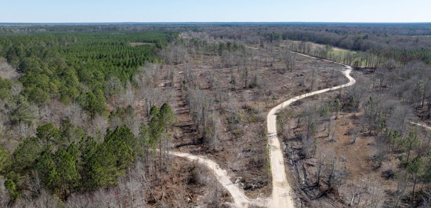 Wilcox Olcmulgee River Corridor Farm