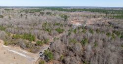 Wilcox Olcmulgee River Corridor Farm