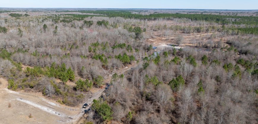 Wilcox Olcmulgee River Corridor Farm
