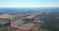 Springhill Creek Pecan Orchard