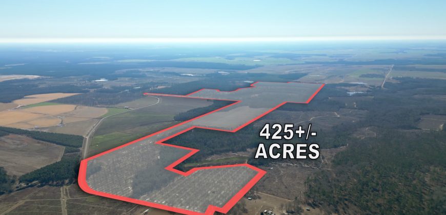 Springhill Creek Pecan Orchard