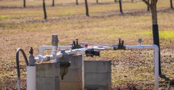 Springhill Creek Pecan Orchard