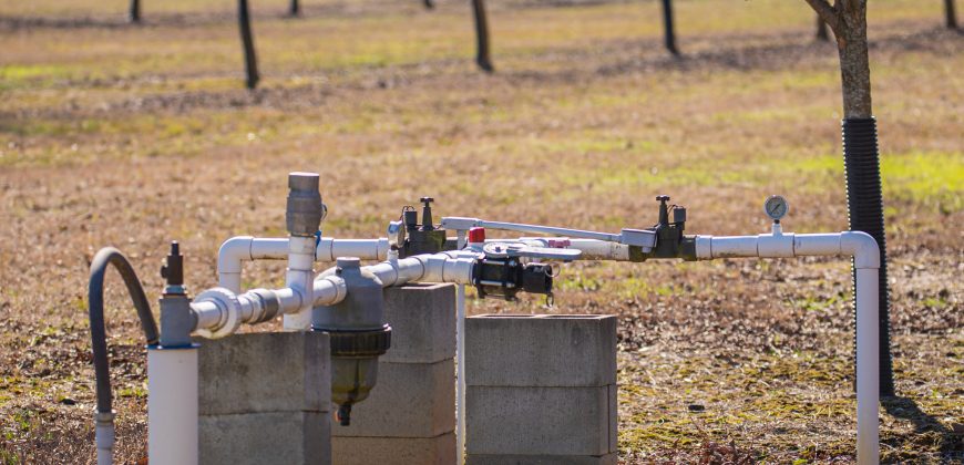 Springhill Creek Pecan Orchard