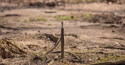 Springhill Creek Pecan Orchard