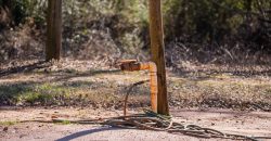 Springhill Creek Pecan Orchard