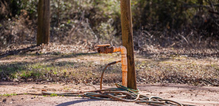 Springhill Creek Pecan Orchard