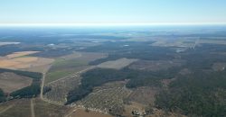 Springhill Creek Pecan Orchard