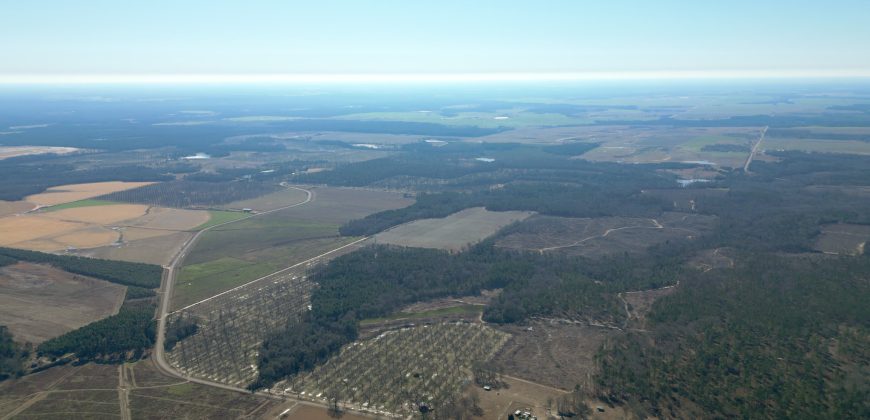 Springhill Creek Pecan Orchard