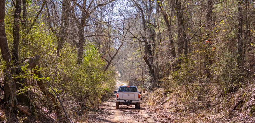 Springhill Creek Pecan Orchard