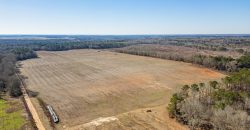 Springhill Creek Pecan Orchard