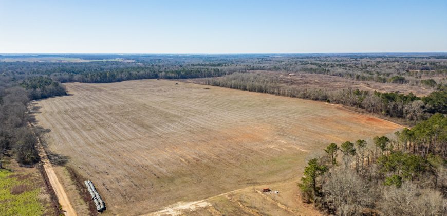Springhill Creek Pecan Orchard