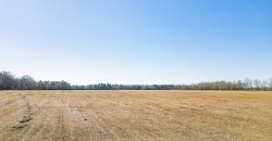 Springhill Creek Pecan Orchard