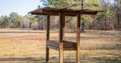 Springhill Creek Pecan Orchard