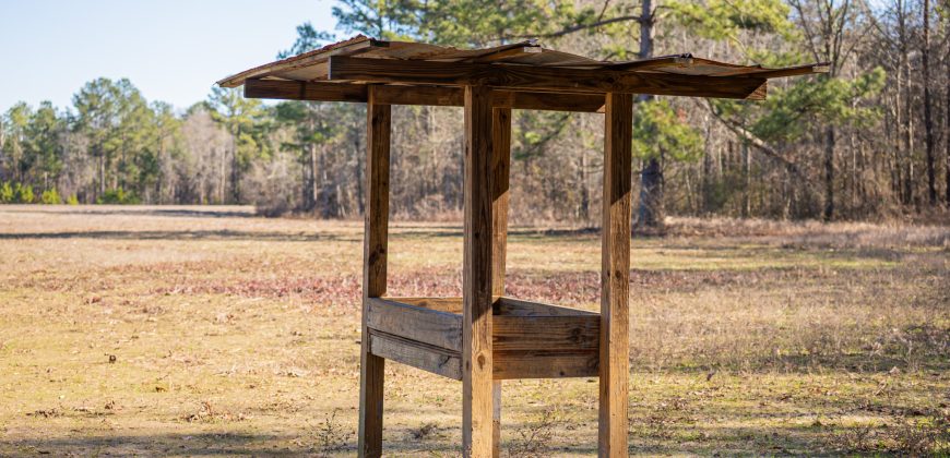 Springhill Creek Pecan Orchard