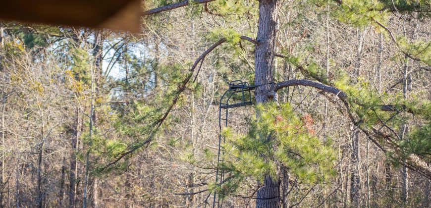 Springhill Creek Pecan Orchard