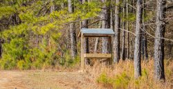 Springhill Creek Pecan Orchard