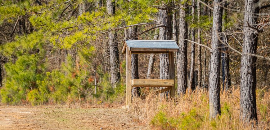 Springhill Creek Pecan Orchard