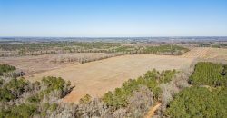 Springhill Creek Pecan Orchard