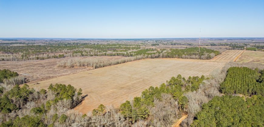 Springhill Creek Pecan Orchard