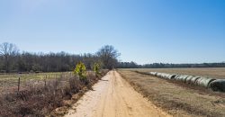 Springhill Creek Pecan Orchard