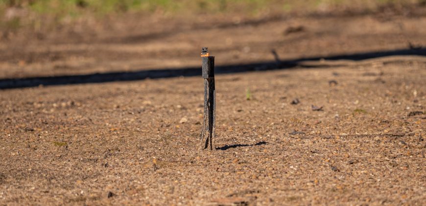 Springhill Creek Pecan Orchard