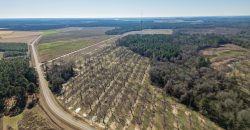 Springhill Creek Pecan Orchard