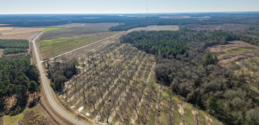 Springhill Creek Pecan Orchard