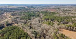 Springhill Creek Pecan Orchard