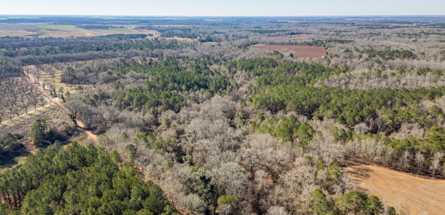 Springhill Creek Pecan Orchard