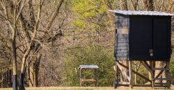 Springhill Creek Pecan Orchard