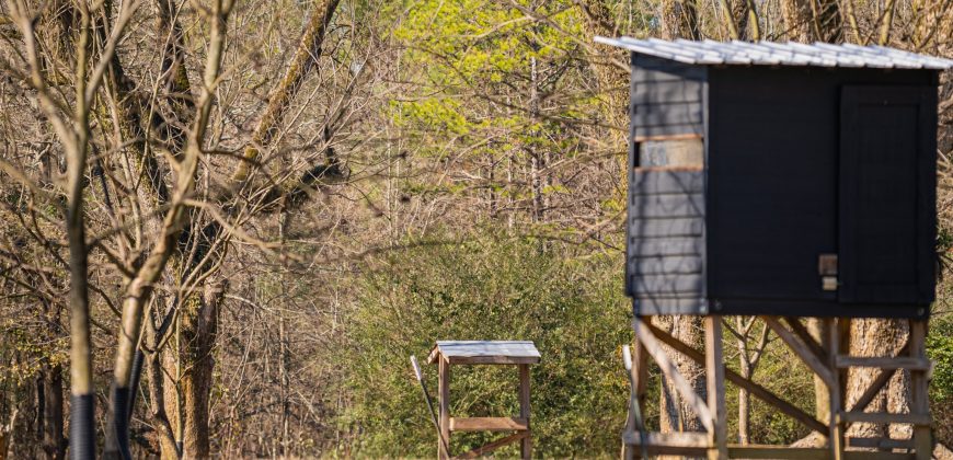 Springhill Creek Pecan Orchard