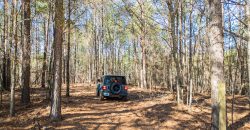 Springhill Creek Pecan Orchard