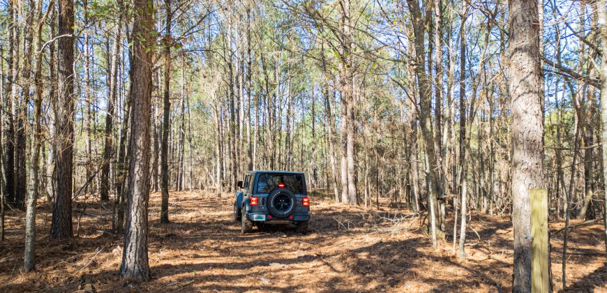 Springhill Creek Pecan Orchard