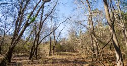 Springhill Creek Pecan Orchard