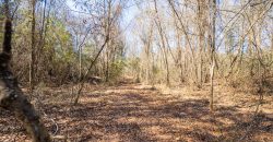 Springhill Creek Pecan Orchard