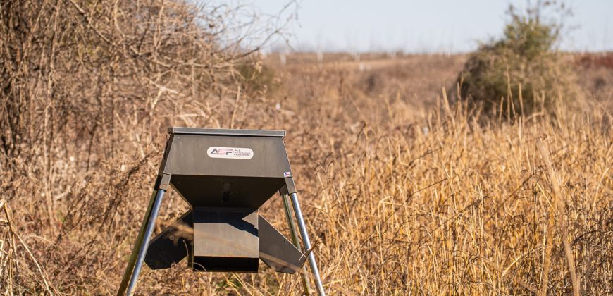 Springhill Creek Pecan Orchard