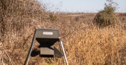 Springhill Creek Pecan Orchard