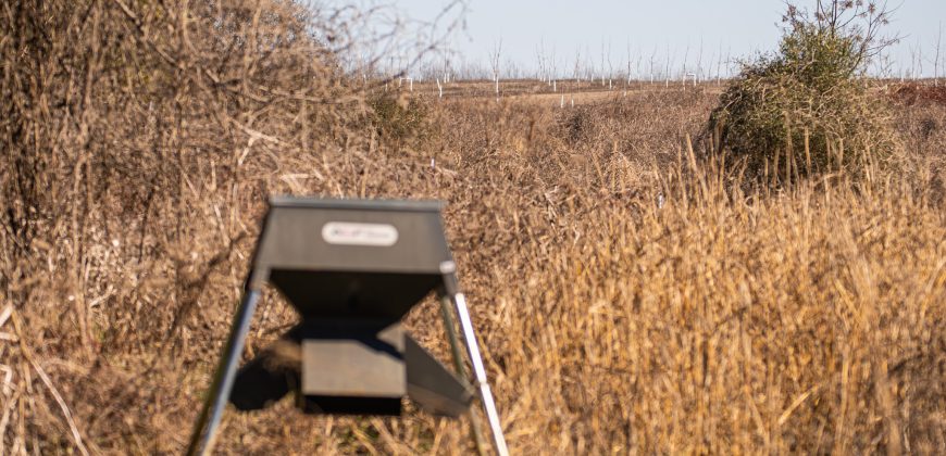 Springhill Creek Pecan Orchard