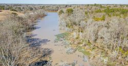Springhill Creek Pecan Orchard