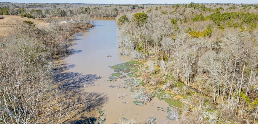 Springhill Creek Pecan Orchard