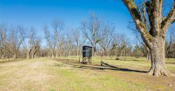 Springhill Creek Pecan Orchard