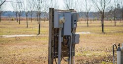 Springhill Creek Pecan Orchard