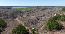 Wilcox Olcmulgee River Corridor Farm