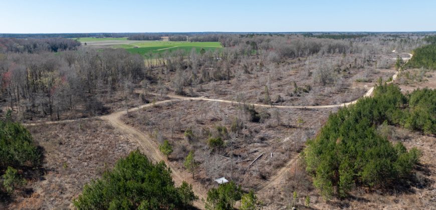 Wilcox Olcmulgee River Corridor Farm