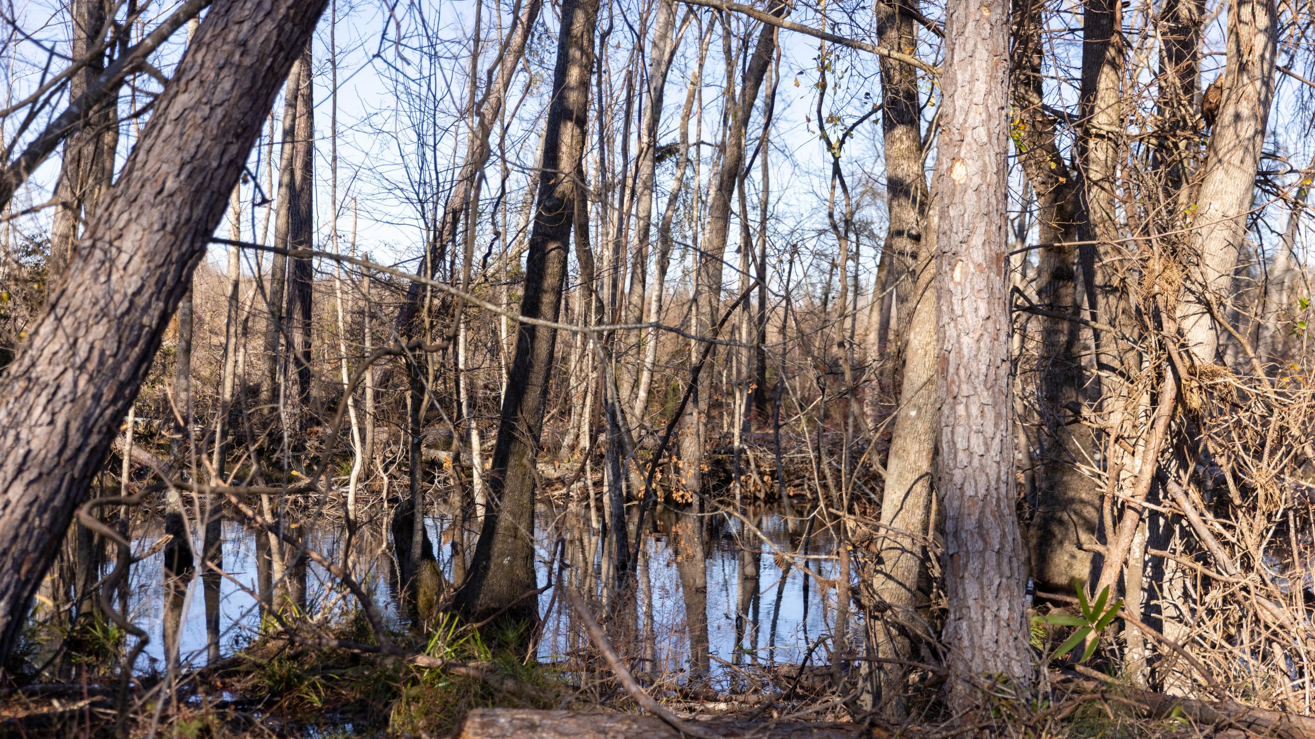Laurens County Whitewater CreeK Farm