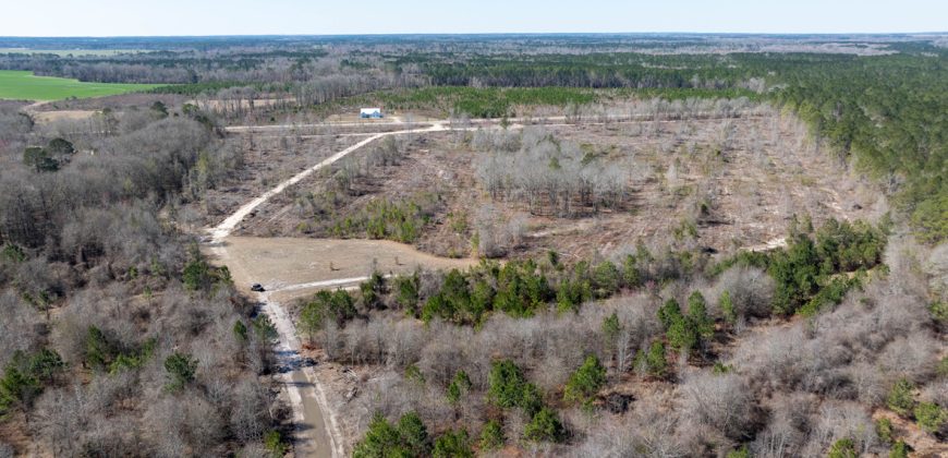 Wilcox Olcmulgee River Corridor Farm