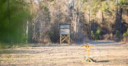 Dodge County Sanctuary