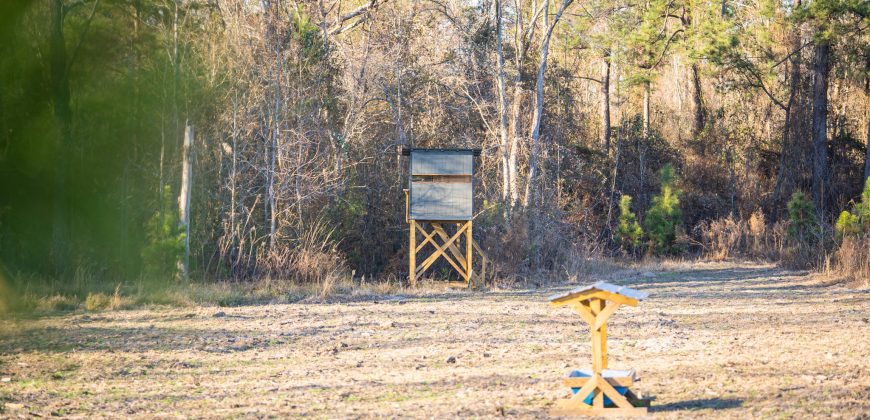 Dodge County Sanctuary