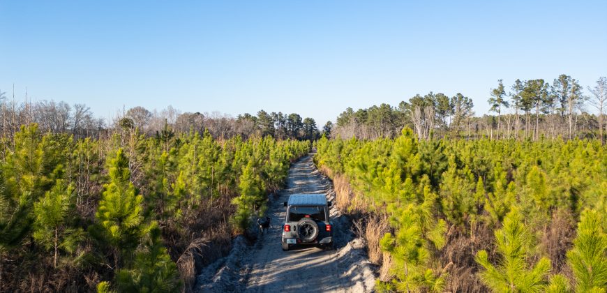 Dodge County Sanctuary