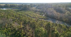 Dodge County Sanctuary